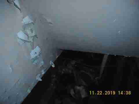 9226 Forrer (47)_m.jpg